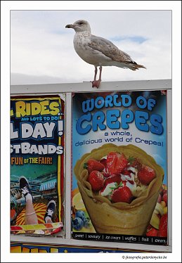 20170810133021_IMG_0529