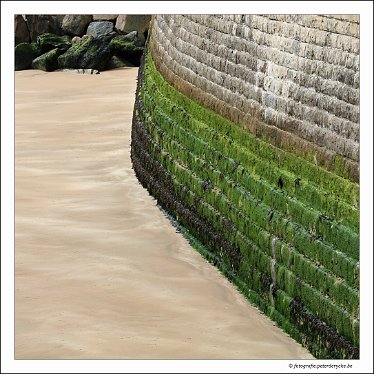 20170816123238_IMG_1377