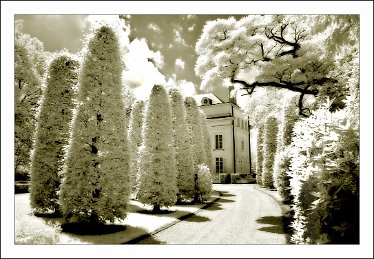 IMG_0990_KervyndeMerendree