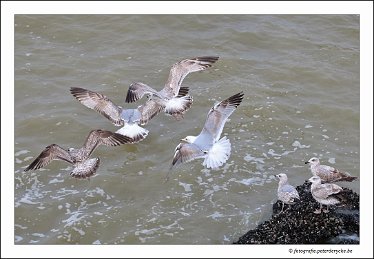 20180325160423_IMG_3742_1