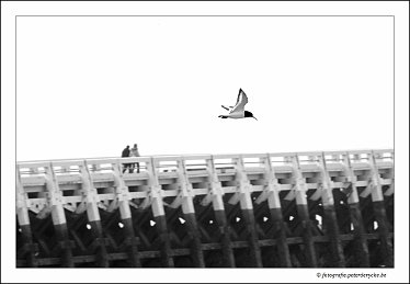 20180325160620_IMG_3751_1