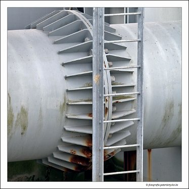 20180330121527_IMG_3775