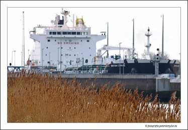 20180330122448_IMG_3787