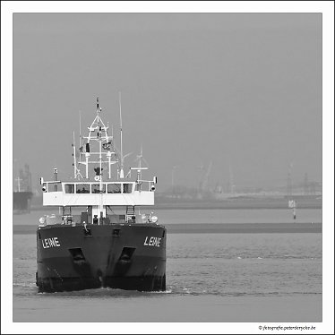 20180330124136_IMG_3825