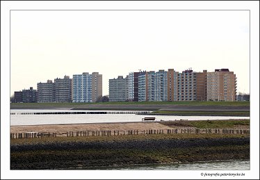 20180330130055_IMG_3846