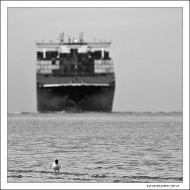 20180330131228_IMG_3865 copy