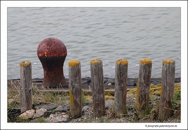 20180330133335_IMG_3914