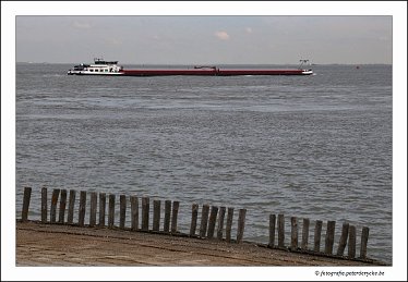 20180330133439_IMG_3916