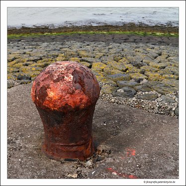 20180330133553_IMG_3919