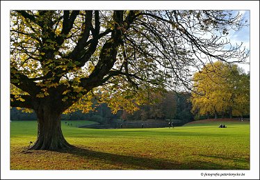 2018-11-04 15.38.25-01