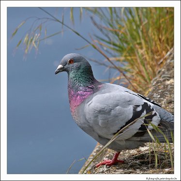 20180512123925_IMG_5072