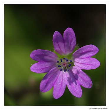 20180512142240_IMG_5155