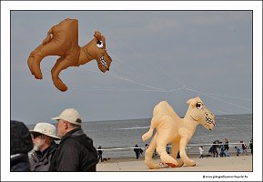 IMG_9327
