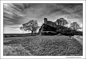 PXL_20230316_105356954-01bw