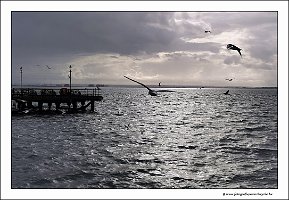 IMG_20231030_134208