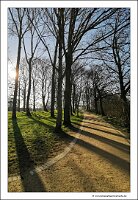 IMG_20250308_092320