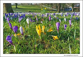 IMG_20250308_092707