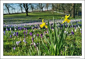 IMG_20250308_092728