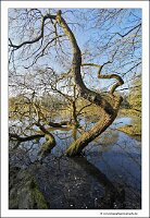 IMG_20250308_093526