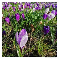 IMG_20250308_093705