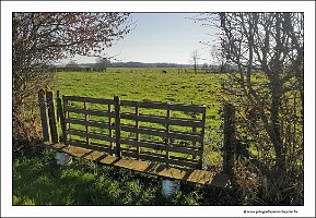 IMG_20250308_102256