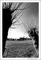 IMG_20250308_103843