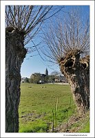 IMG_20250308_103920