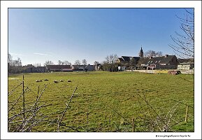 IMG_20250308_104020