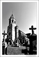 IMG_20250308_104525-01