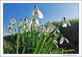 IMG_20250308_111222