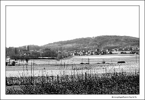 IMG_20250308_112449