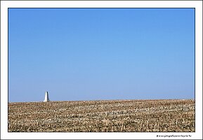 IMG_20250308_112921