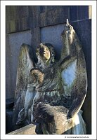 IMG_20250308_115048