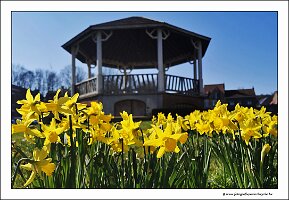 IMG_20250308_115317