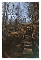 IMG_20250308_122535
