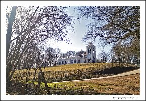 IMG_20250308_122624