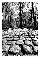 IMG_20250308_123638