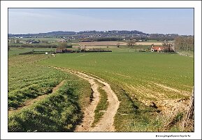 IMG_20250308_124036