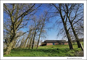 IMG_20250308_124711