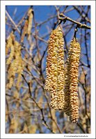 IMG_20250308_131644