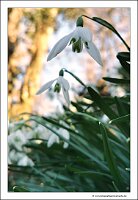 IMG_20250308_133414