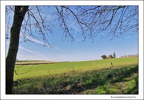 IMG_20250308_134543