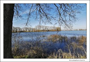 IMG_20250308_144643
