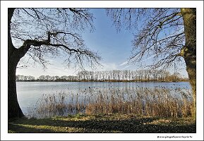 IMG_20250308_145325