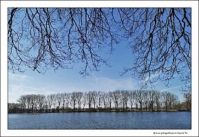 IMG_20250308_145442